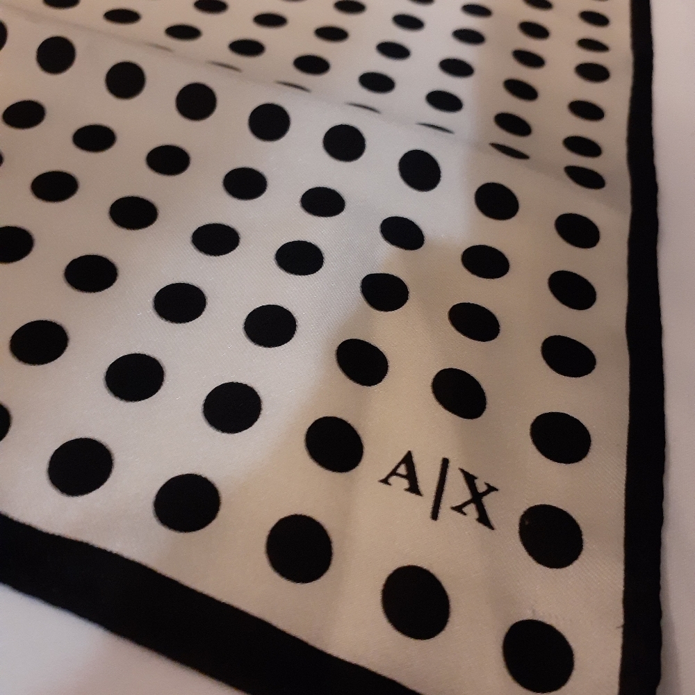 A|X Silk scarf